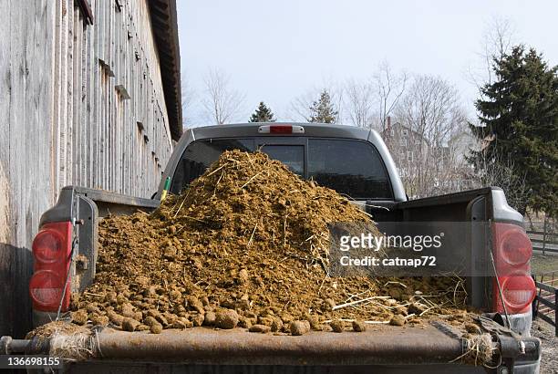 fresh manure load on truck at barn, farming and agriculture - pick up truck stock pictures, royalty-free photos & images