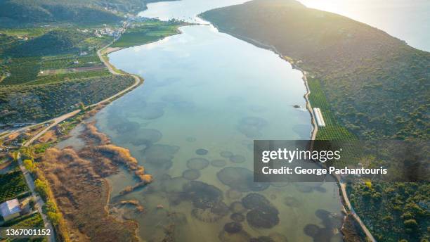 aerial photo of a calm lagoon during sunrise - bioreserve stock pictures, royalty-free photos & images