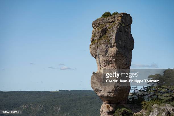impressive standing rock at the edge of the canyon, tarn valley, massif central, france - rock hoodoo stockfoto's en -beelden