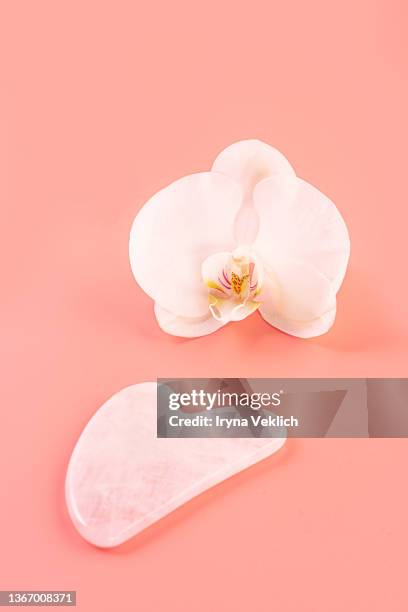 routine step for healthy face skin care and massage with rose quartz facial jade roller, gua sha and white orchid flower. - white rose flower spa stock-fotos und bilder