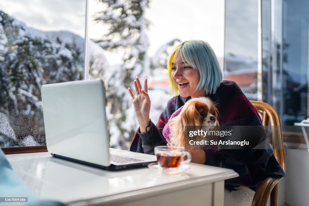 Young woman on business trip in winter being interrupted by her dog while video chatting on laptop