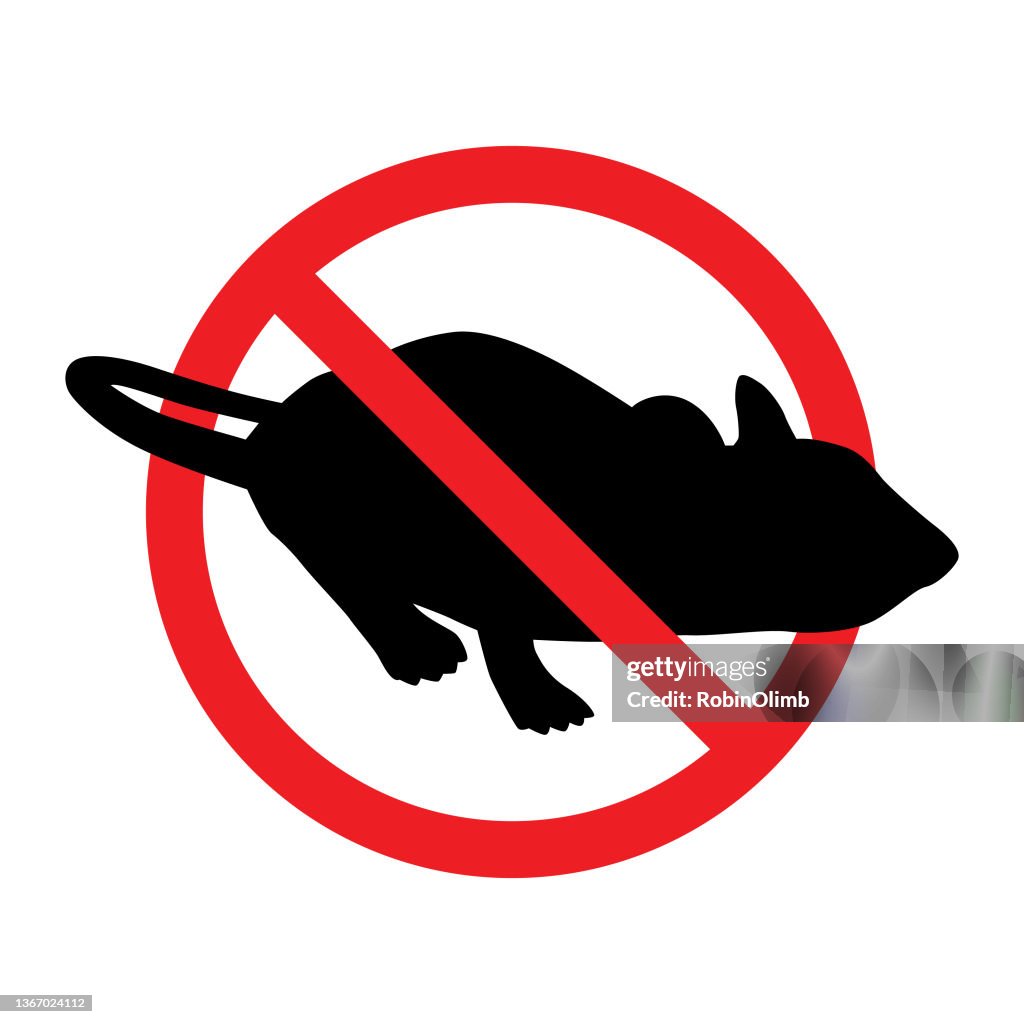 No Symbol Rat