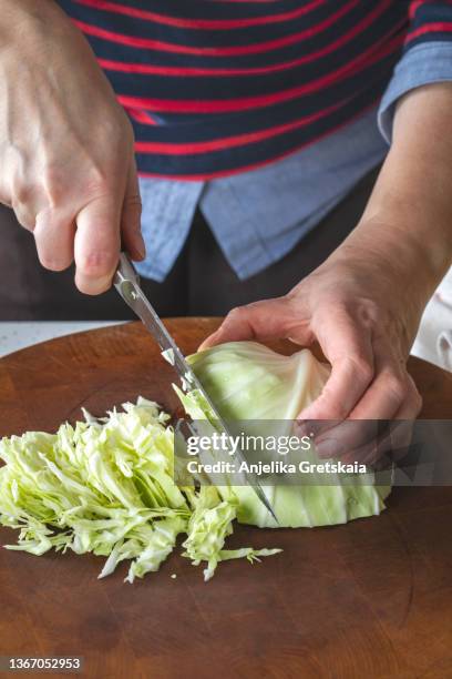 woman cutting a green cabbage. - cabbage stock pictures, royalty-free photos & images