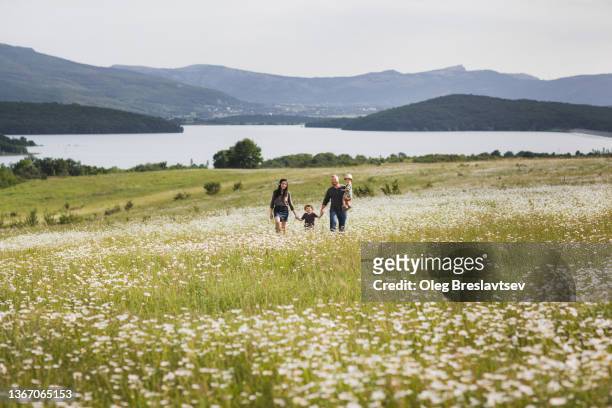 family with two children walking outdoors in beautiful valley with daisy field - village life stockfoto's en -beelden