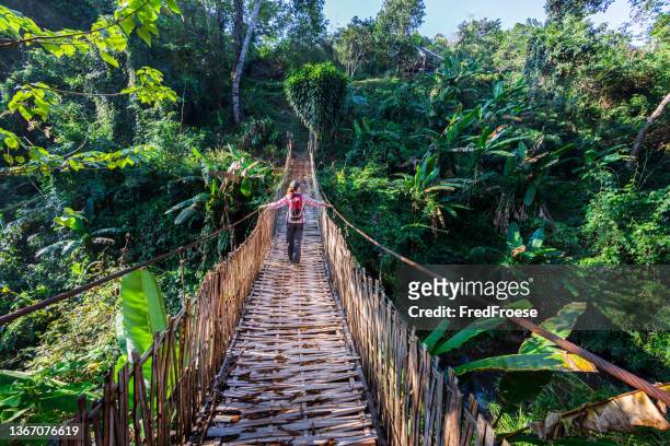 frau mit rucksack auf hängebrücke im regenwald - urwald stock-fotos und bilder