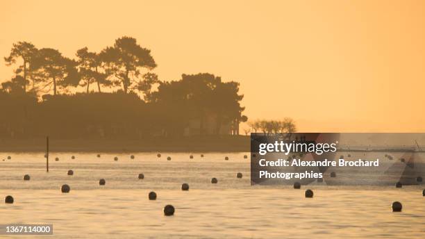 andernos harbor - arcachon fotografías e imágenes de stock