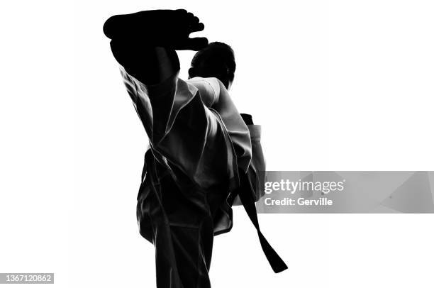 martial arts activity - taekwondo stock pictures, royalty-free photos & images