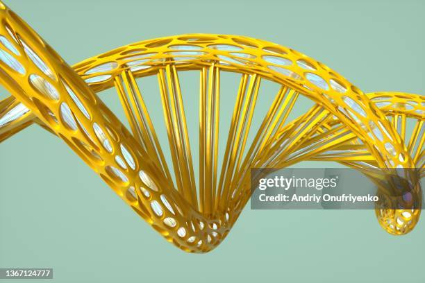 organic shaped plastic dna - dna spiral stock pictures, royalty-free photos & images