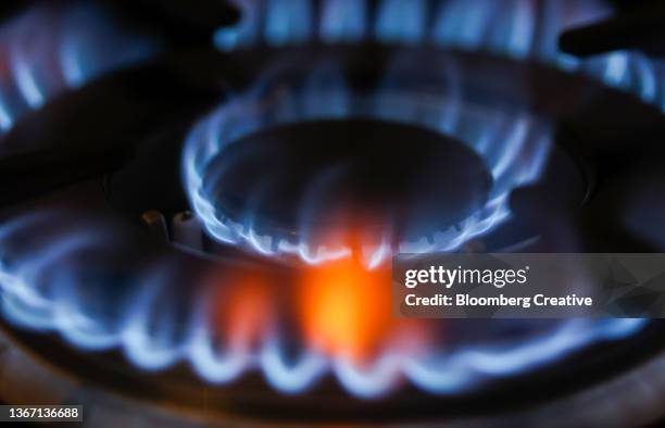 domestic gas flame on a cooker hob - crisis de petróleo fotografías e imágenes de stock