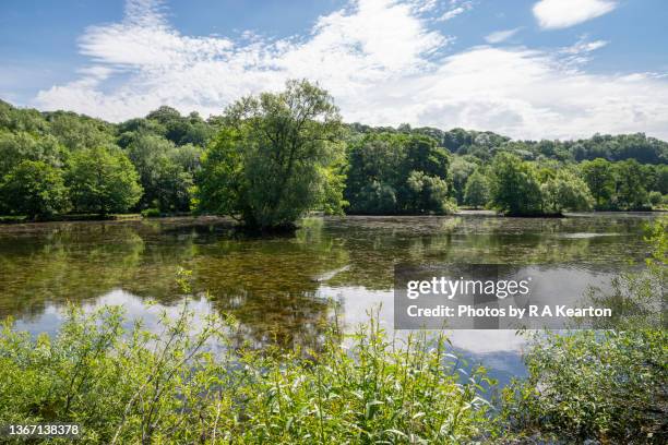 the roman lakes, marple, stockport, greater manchester - stockport ストックフォトと画像