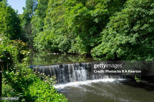 the river goyt near marple, greater manchester, england - stockport stockfoto's en -beelden