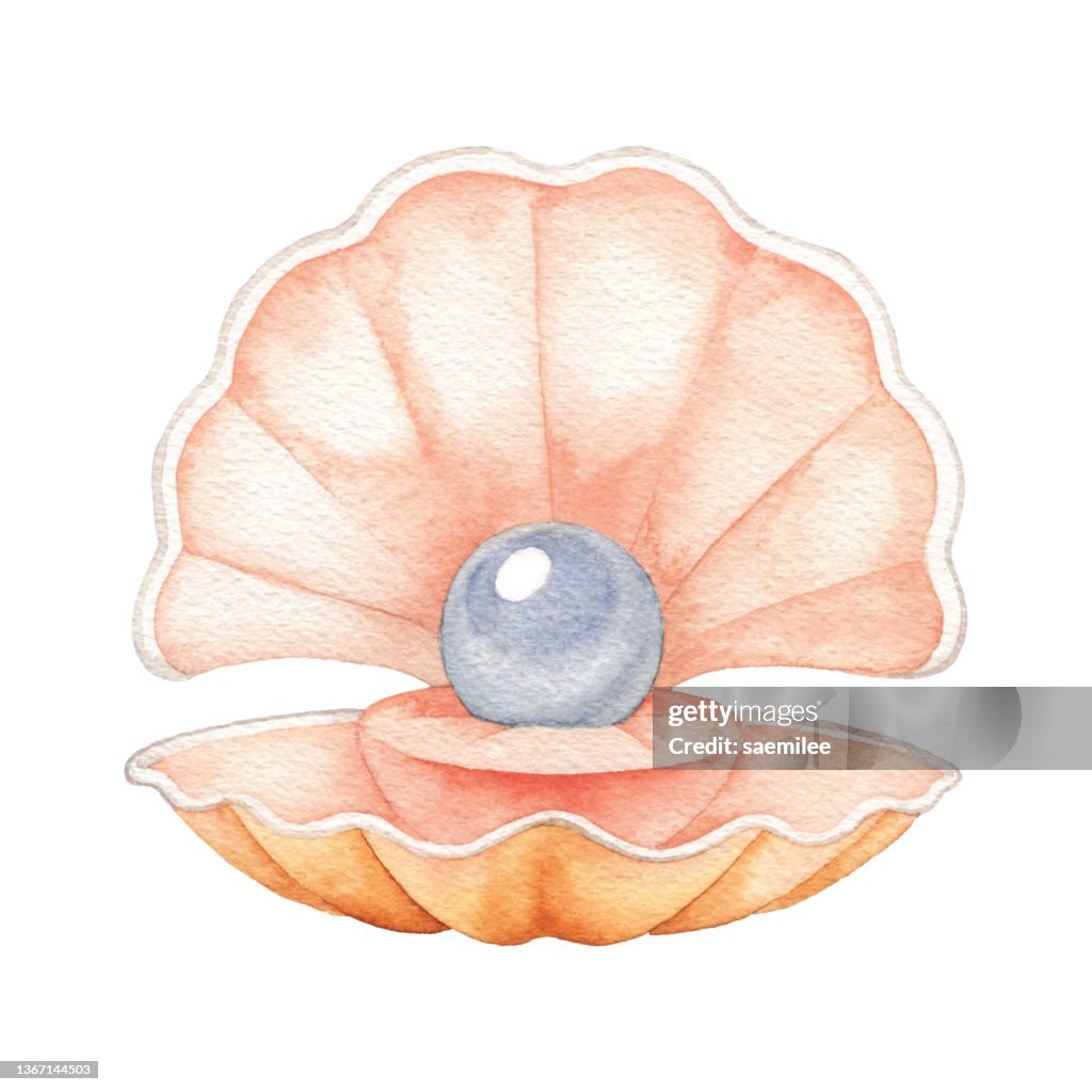 Watercolor Pearl in Shell