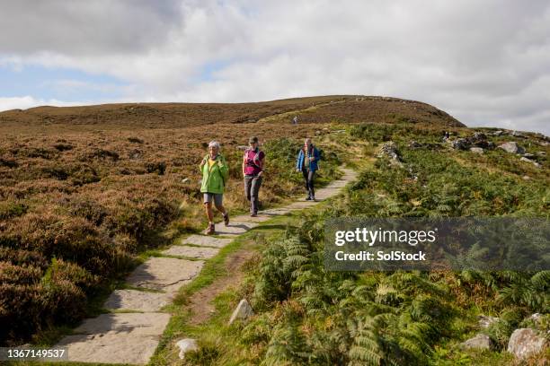 Fern Hill Photos And Premium High Res Pictures Getty Images fern-hill-photos-and-premium-high-res-pictures-getty-images