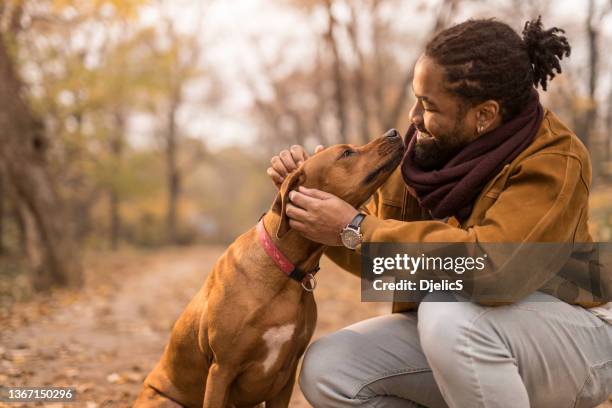 glücklicher junger afroamerikaner, der seinen hund draußen in der natur streichelt. - season 1 stock-fotos und bilder