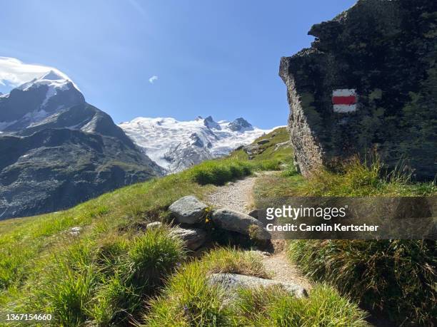 hiking trail in the engadin alps with glacier view, blue sky and green meadows - engadin stockfoto's en -beelden