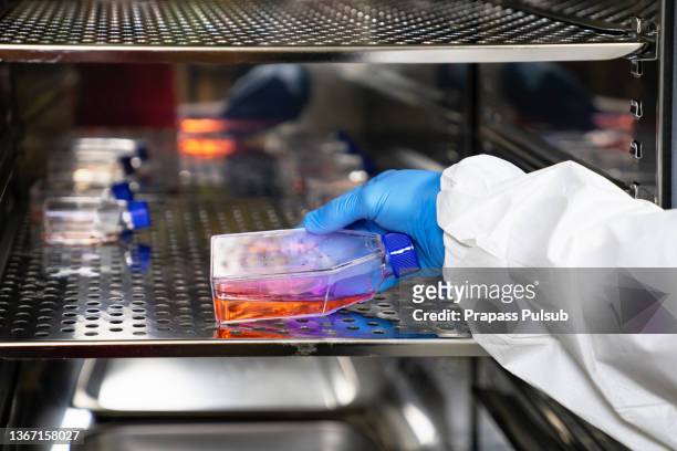 lab equipment detail - 人間の血液 ストックフォトと画像