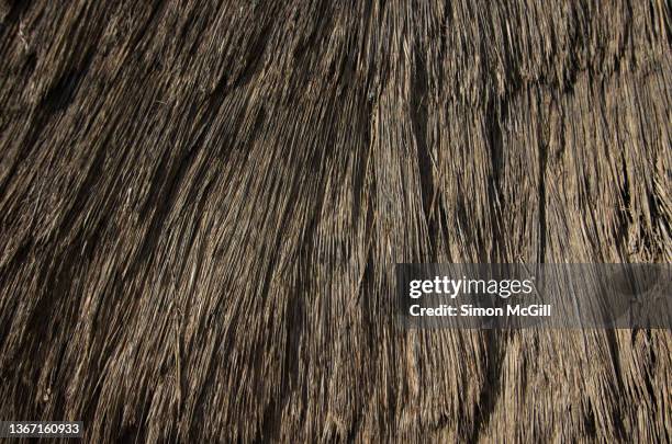 detail of a thatched roof on a palapa - かやぶき屋根 ストックフォトと画像