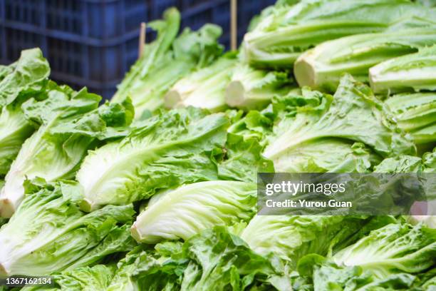 lettuce for sale in the street market, jiangmen, guangdong, china. - romaine lettuce stock pictures, royalty-free photos & images