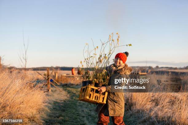 plantemos un poco de vida nueva - green thumb refrán en inglés fotografías e imágenes de stock