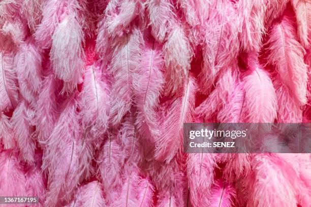 full frame shot of pink feathers - pink feathers stock pictures, royalty-free photos & images