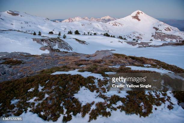 wild arlas - smeltende sneeuw stockfoto's en -beelden