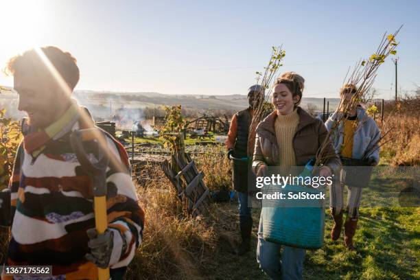 neue bäume zum pflanzen - wohltätigkeit und humanitäre hilfe stock-fotos und bilder