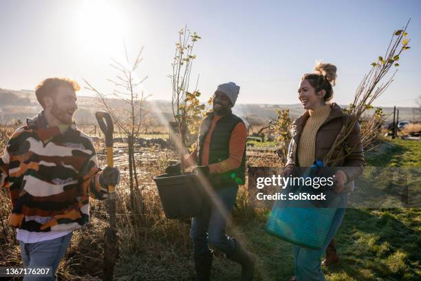 amano il loro lavoro - pianta foto e immagini stock