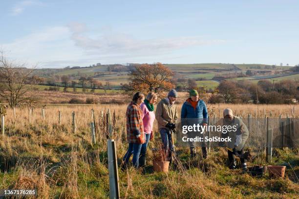 digging a hole for our new tree - england training session stock pictures, royalty-free photos & images