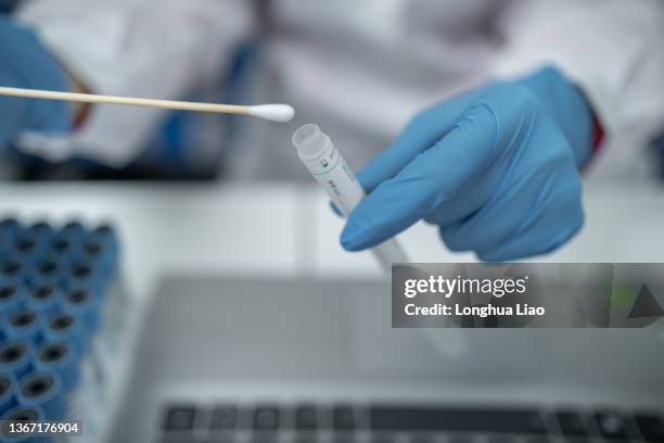 a swab from the lab - nasal swab stock pictures, royalty-free photos & images