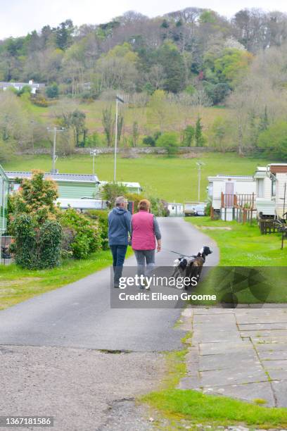 paare, die an einem frühlingstag im urlaub im ländlichen wales urlauben, genießen es, mit ihren hunden um den wohnwagenplatz spazieren zu gehen, sport zu treiben und die aussicht zu genießen. - caravan uk stock-fotos und bilder