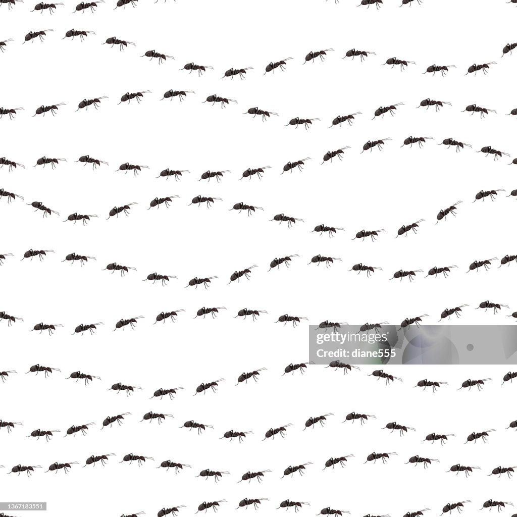 Ant Pattern Real Seamless Black Ant Patterns High-Res Vector Graphic - Getty Images