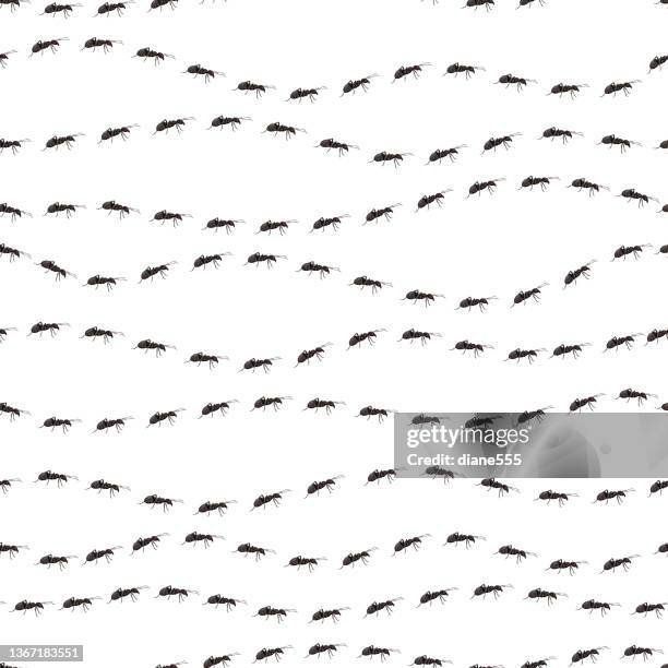 seamless black ant patterns - ant stock illustrations