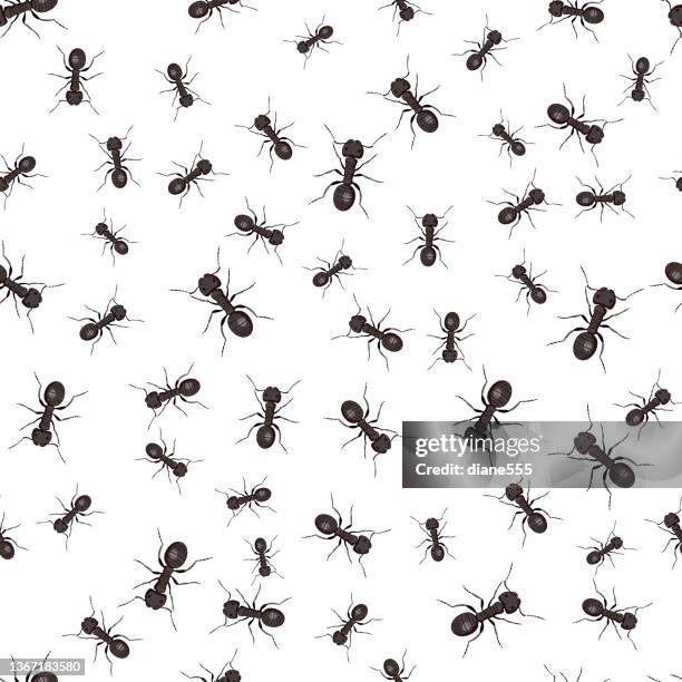 seamless black ant patterns - ant stock illustrations