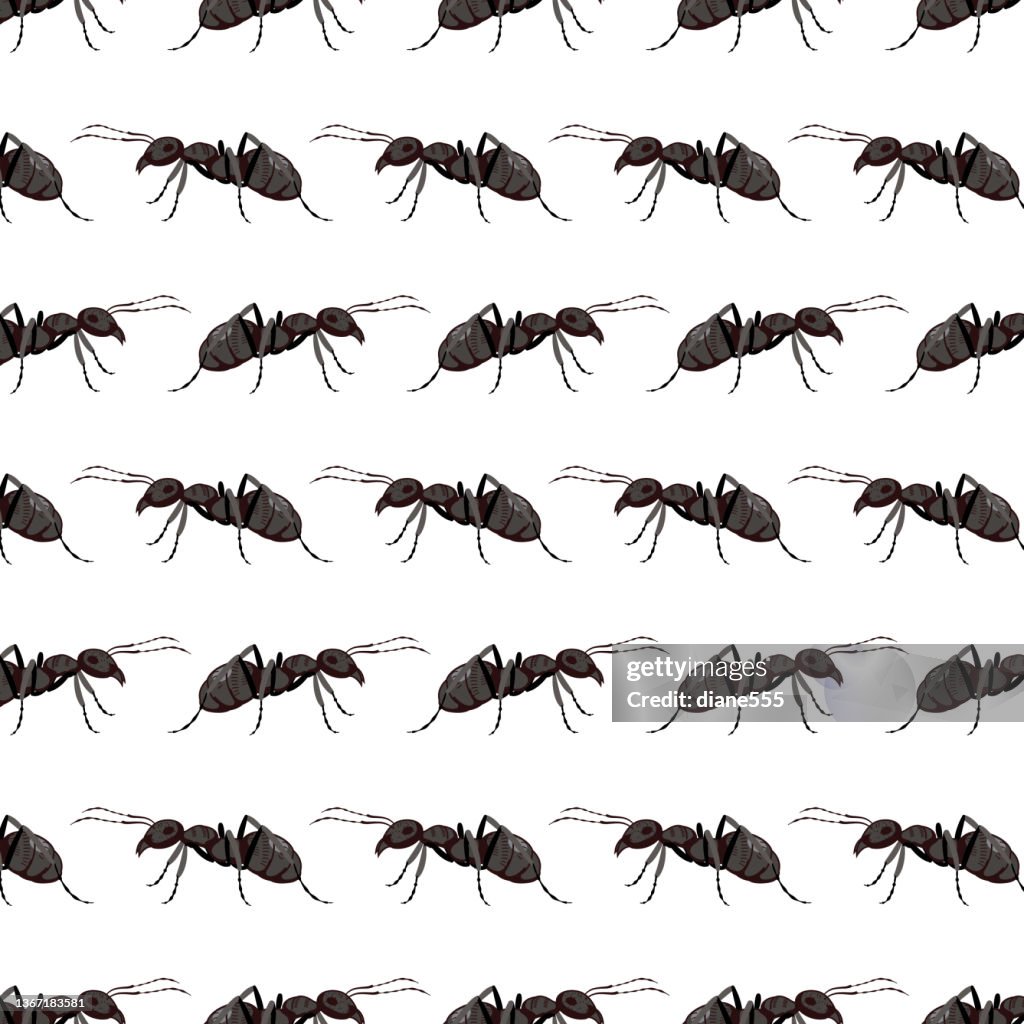 Ant Pattern Real Seamless Black Ant Patterns High-Res Vector Graphic - Getty Images