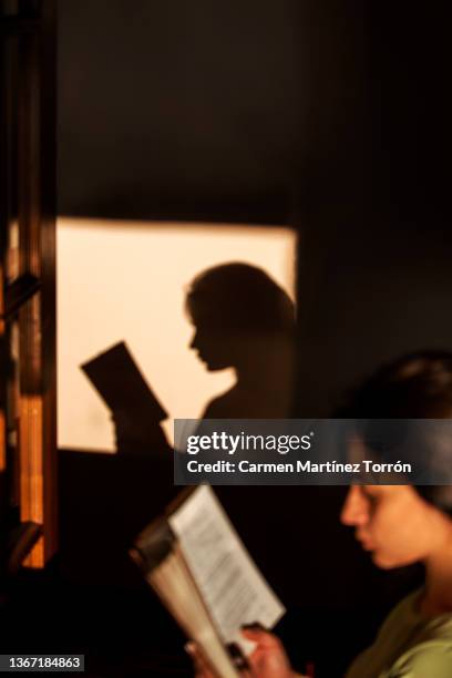 silhouette of woman reading - student reading book stockfoto's en -beelden