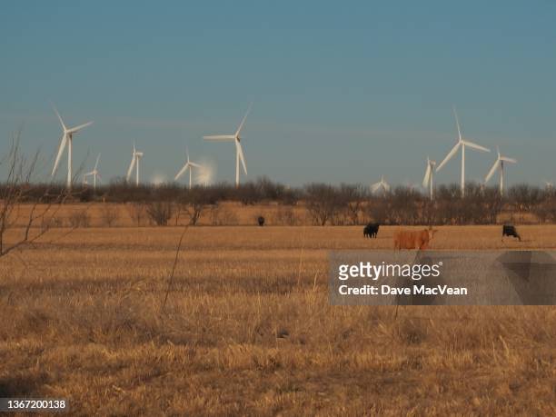 texas sized wind farm - amarillo color stock-fotos und bilder
