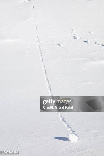 snow ball rolling down snowy hill. - bola de neve imagens e fotografias de stock