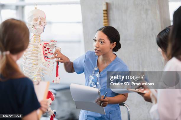 young woman teaches class on human bone structure - esqueleto humano imagens e fotografias de stock