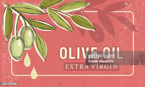 illustrations, cliparts, dessins animés et icônes de olives de style vintage avec huile avec bannière - olivier