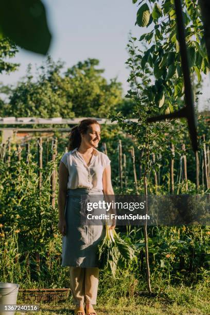 une femme caucasienne heureuse récoltant des bettes à carde dans son jardin - blette photos et images de collection