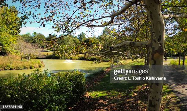 nature in maryland - baltimore maryland landscape stock pictures, royalty-free photos & images