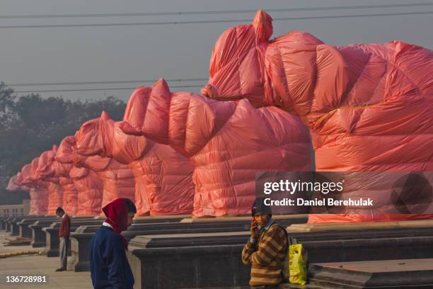 Worker stands under covered elephant statues at the Ambedkar Park on January 11, 2012 in Noida, Uttar Pradesh, India. India's Election Commission has...