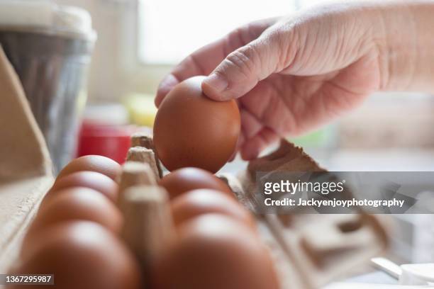 hand selected egg in egg box - egg yolk stock pictures, royalty-free photos & images