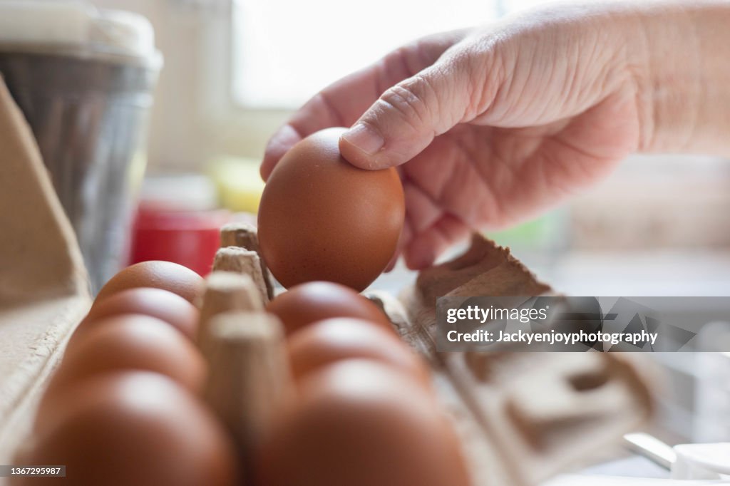 Hand selected Egg in egg box