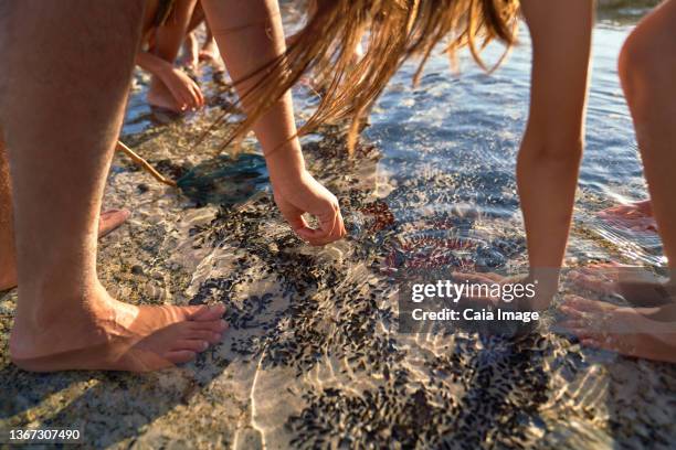 father and daughter playing in ocean tide pool - boy exploring on beach stock pictures, royalty-free photos & images