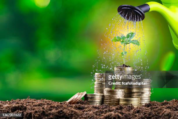 watering plant on money stack - sustainable investment stock pictures, royalty-free photos & images