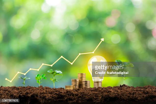 financial growth graph, coins, plants and light bulb - sustainable investment stock pictures, royalty-free photos & images
