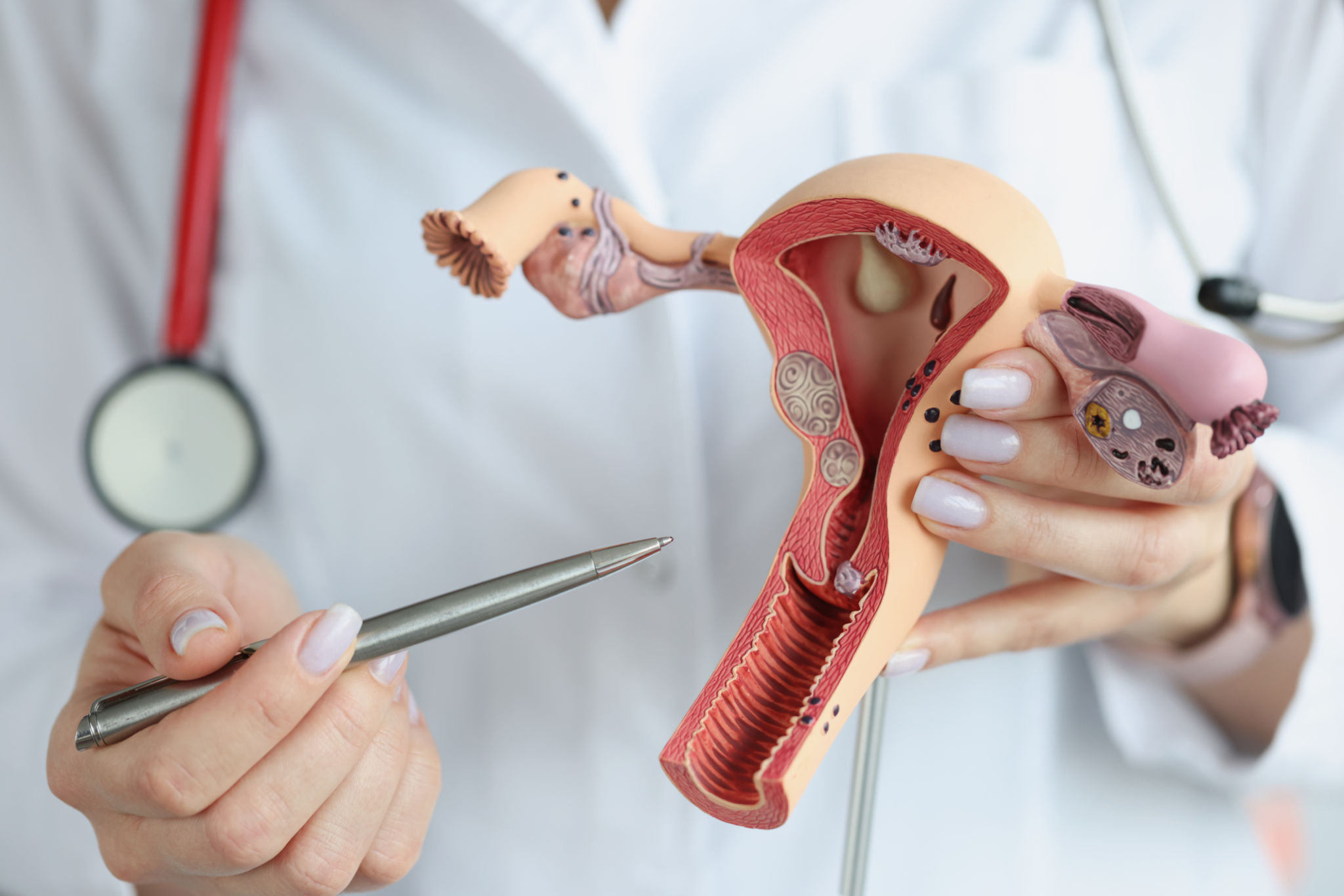 menopause education