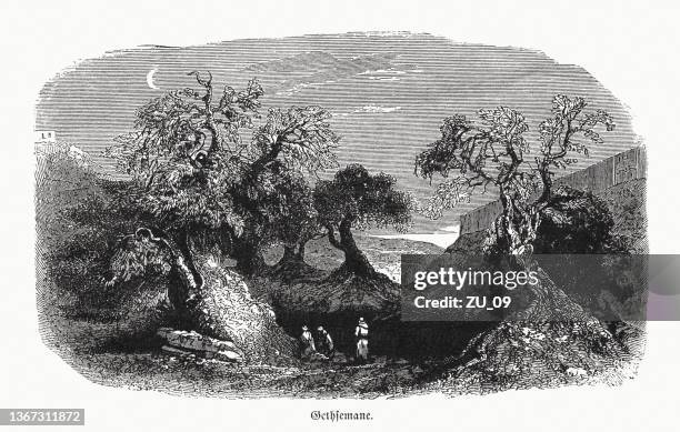 ilustraciones, imágenes clip art, dibujos animados e iconos de stock de getsemaní, monte de los olivos en jerusalén, grabado en madera, publicado en 1862 - garden of gethsemane