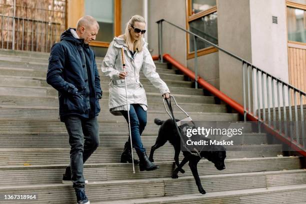 blind woman with dog moving down by mature man on steps - cecità foto e immagini stock